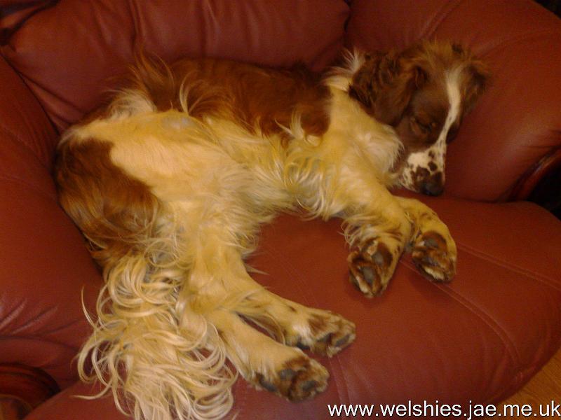 2010-01-01 01.jpg - A perfect fit for the chair